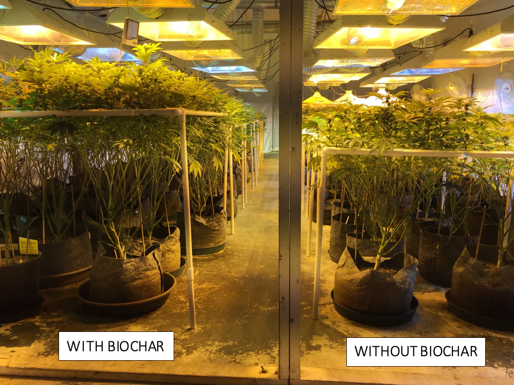 Black Owl Biochar - Image 3