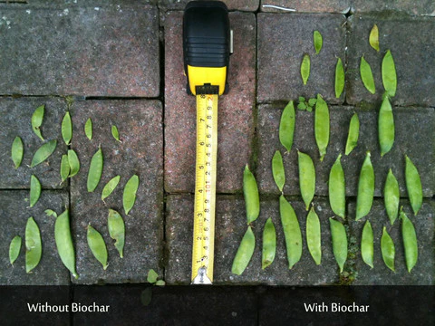 Black Owl Biochar - Image 9