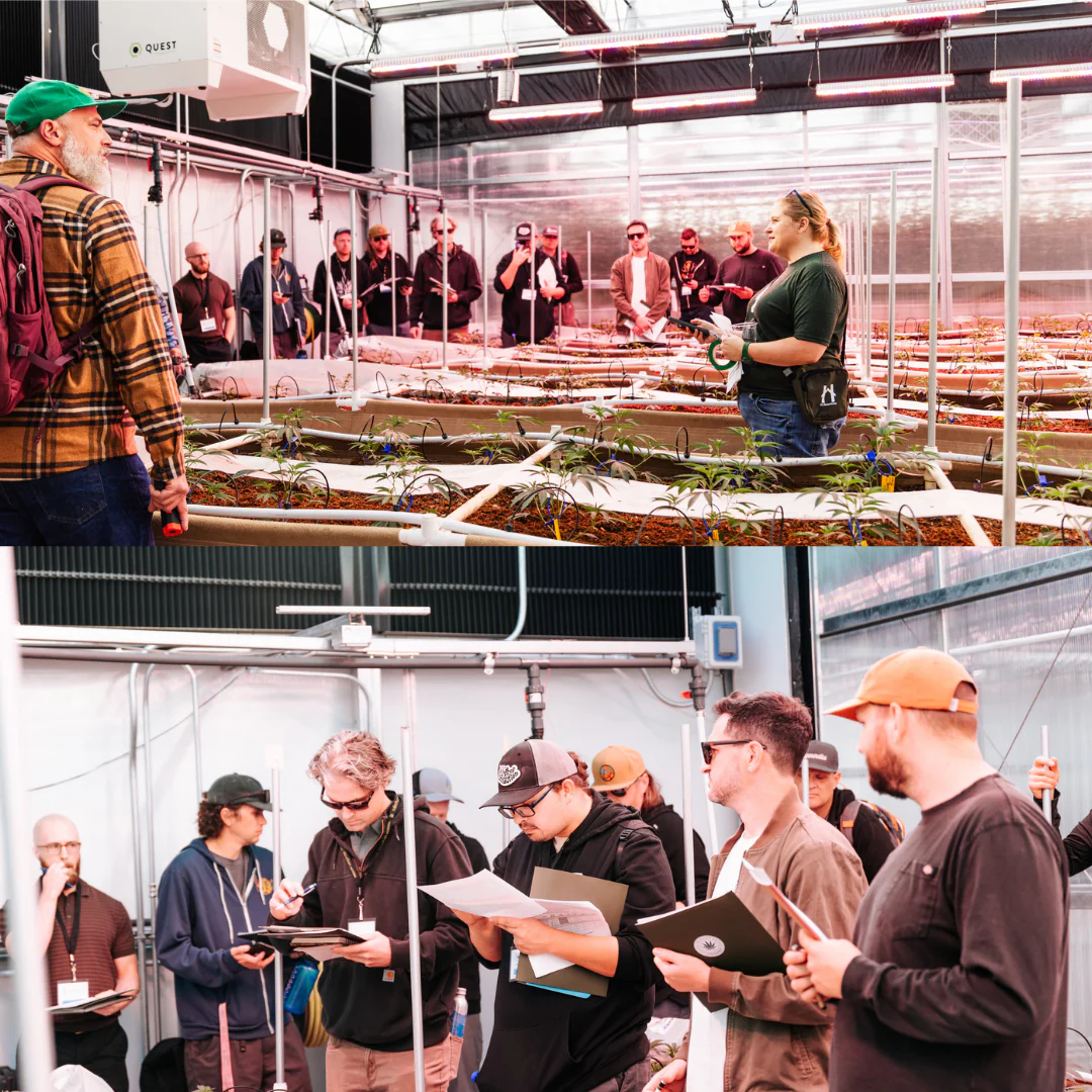 Cannabis Cultivation & Science Conference 2026 - Image 2