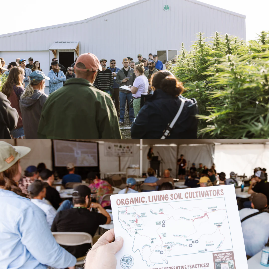 Cannabis Cultivation & Science Conference 2026 - Image 3
