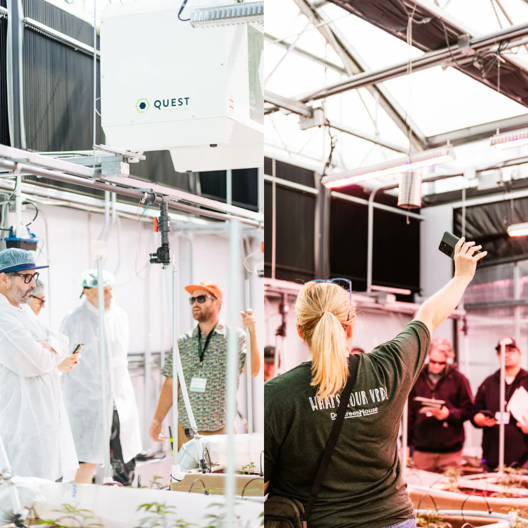 Cannabis Cultivation & Science Conference 2026 - Image 6