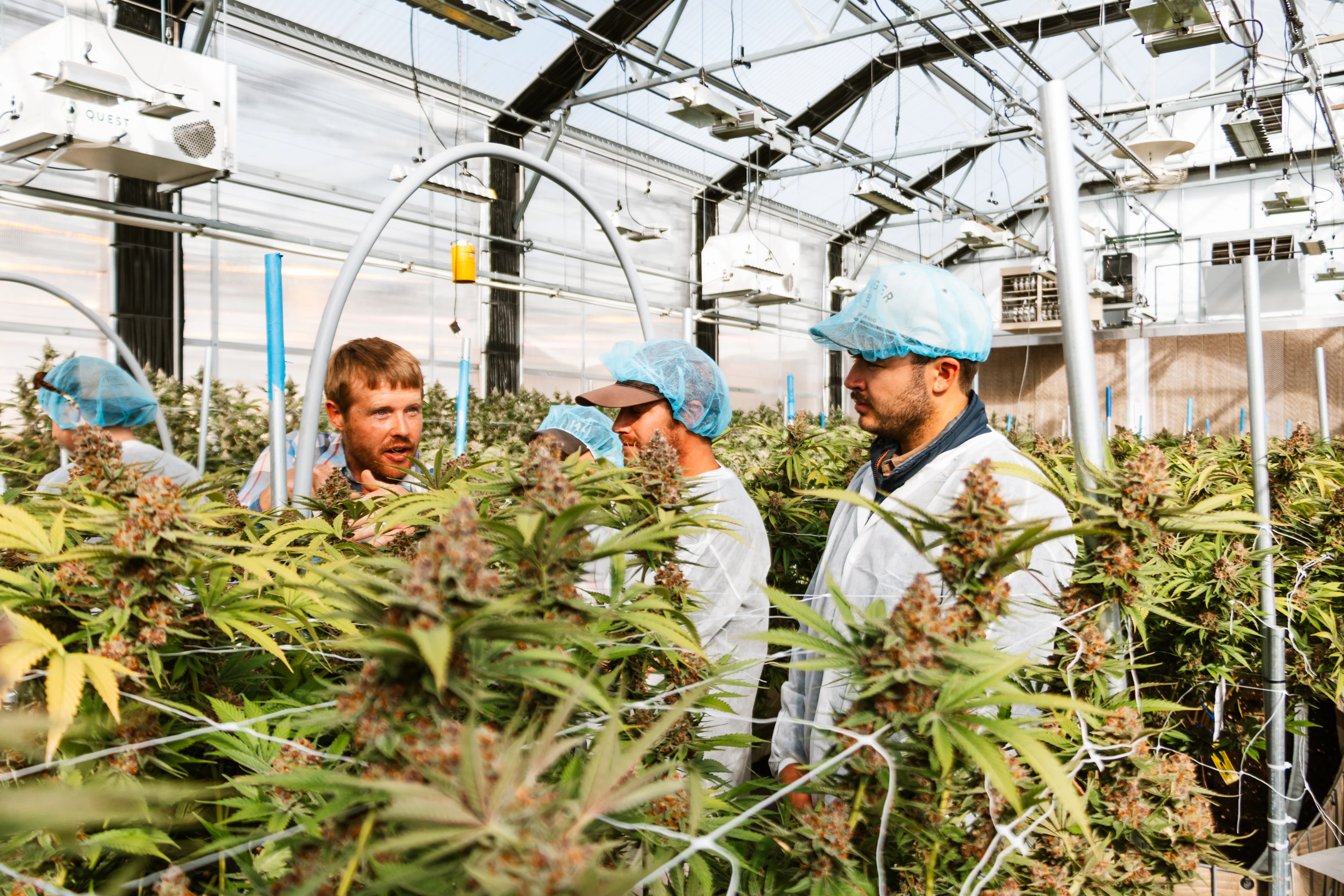 Cannabis Cultivation & Science Conference 2026 - Image 7