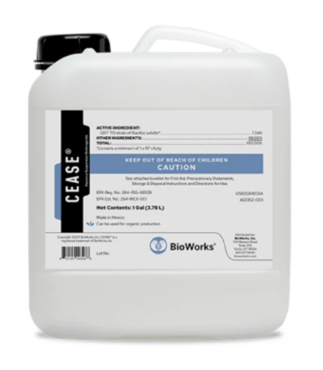 Cease® Biofungicide