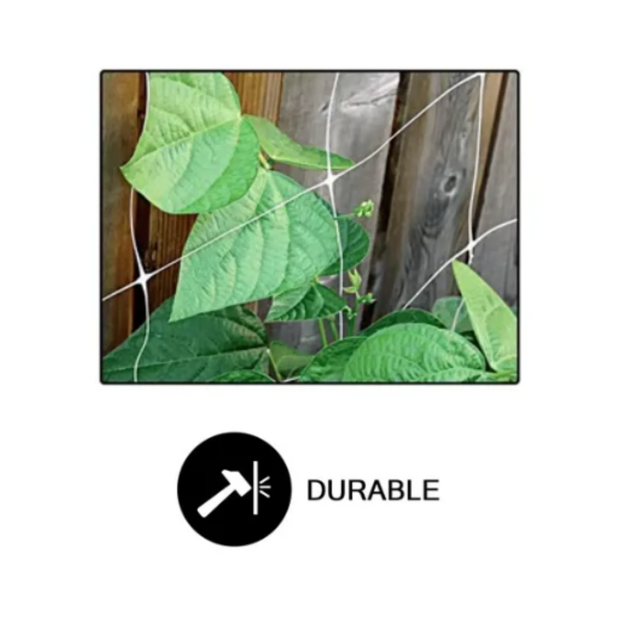 Common Culture Bio Trellis Netting Bulk Roll 5 ft x 60 ft w/ 6in Squares - Image 5