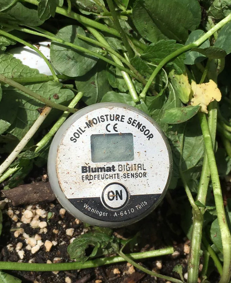 Digital Moisture Meter - FREE SHIPPING - Image 4