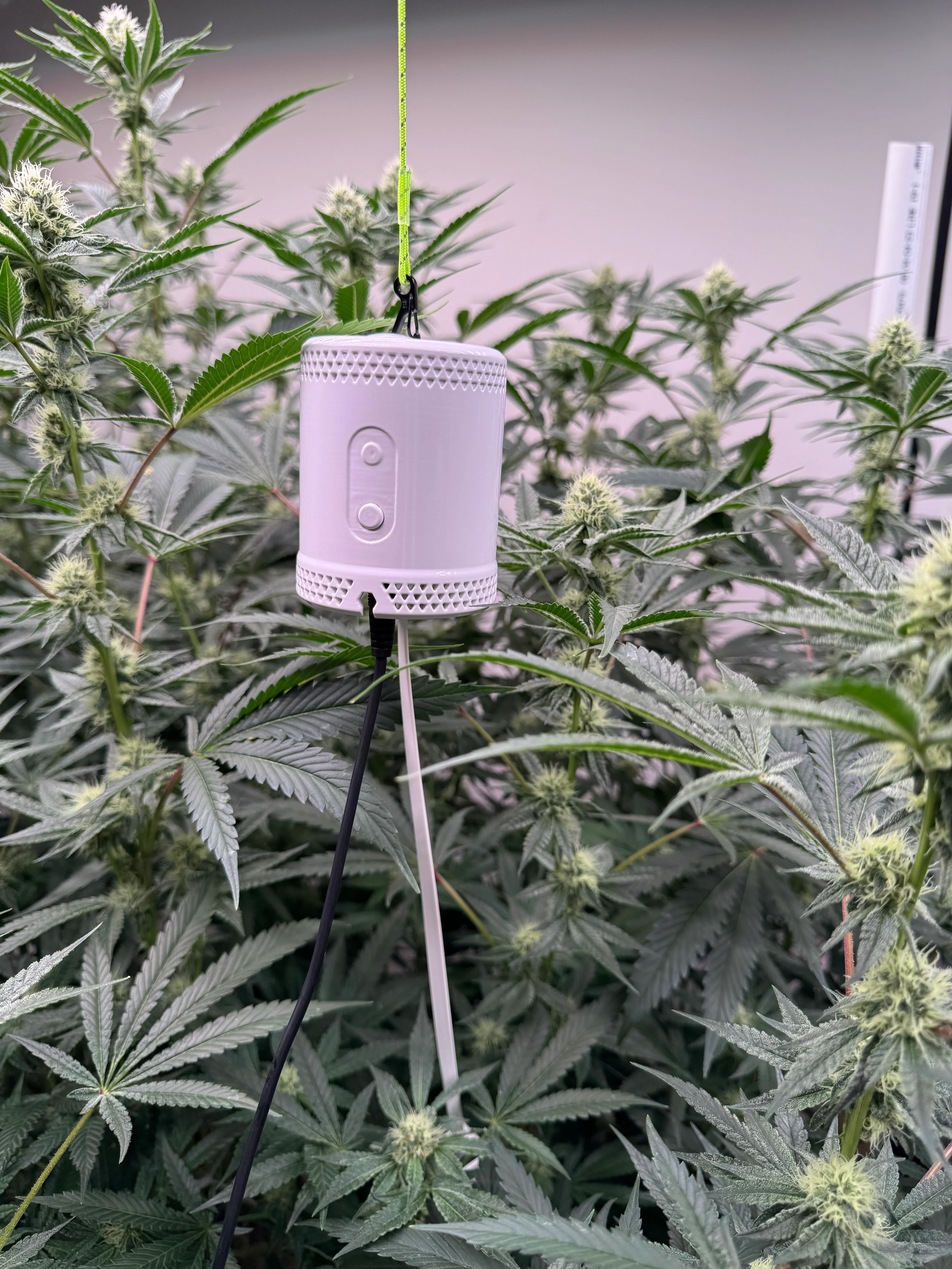 Grow Sensor PRO - FREE SHIPPING - Image 2