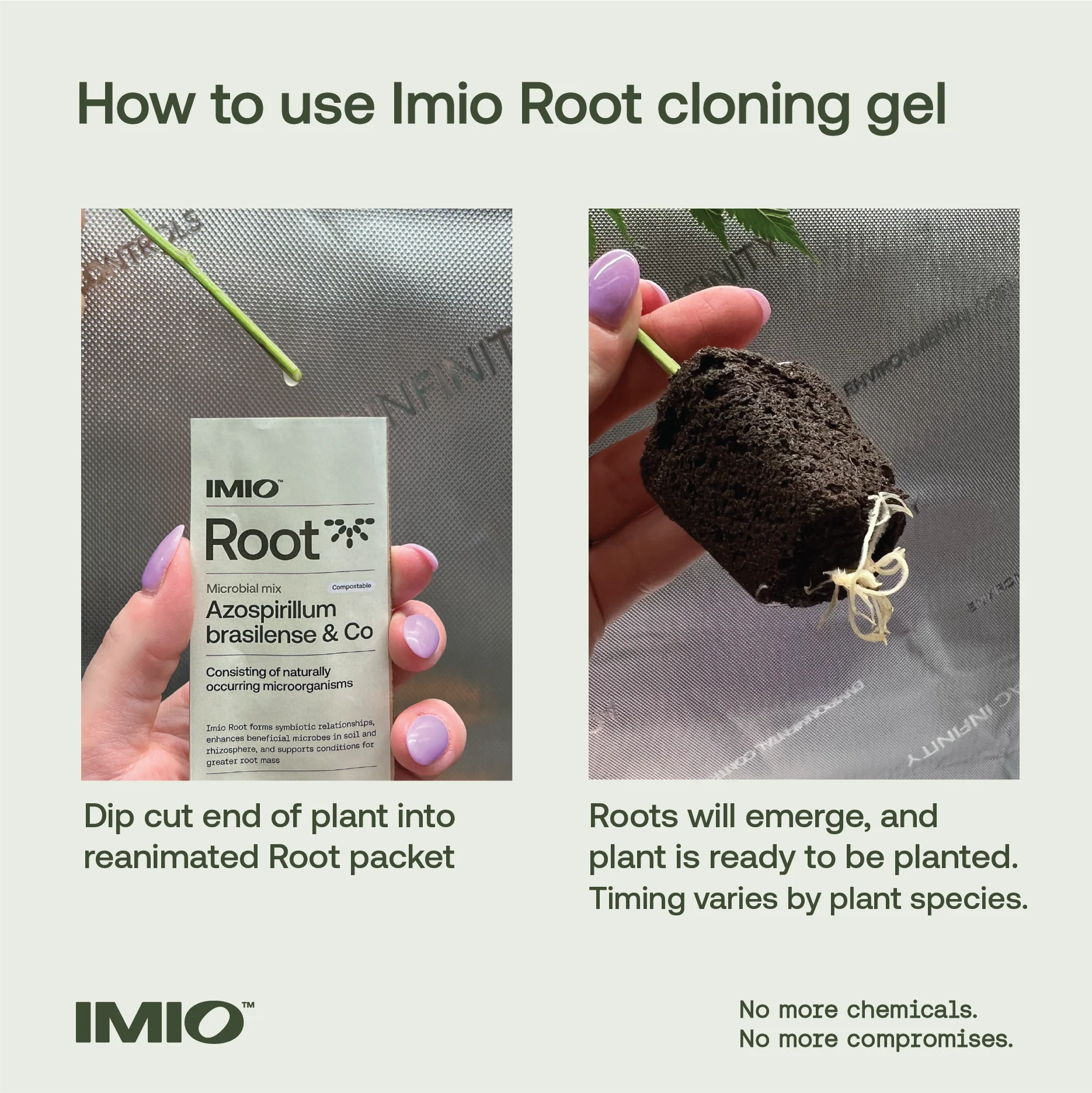 Imio Root - FREE SHIPPING - Image 3