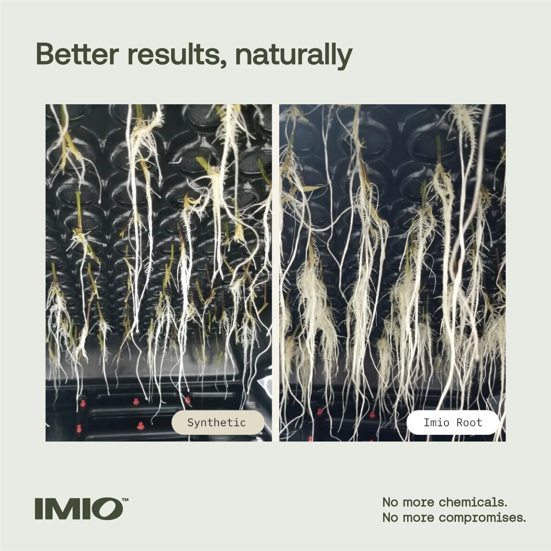 Imio Root - FREE SHIPPING - Image 4