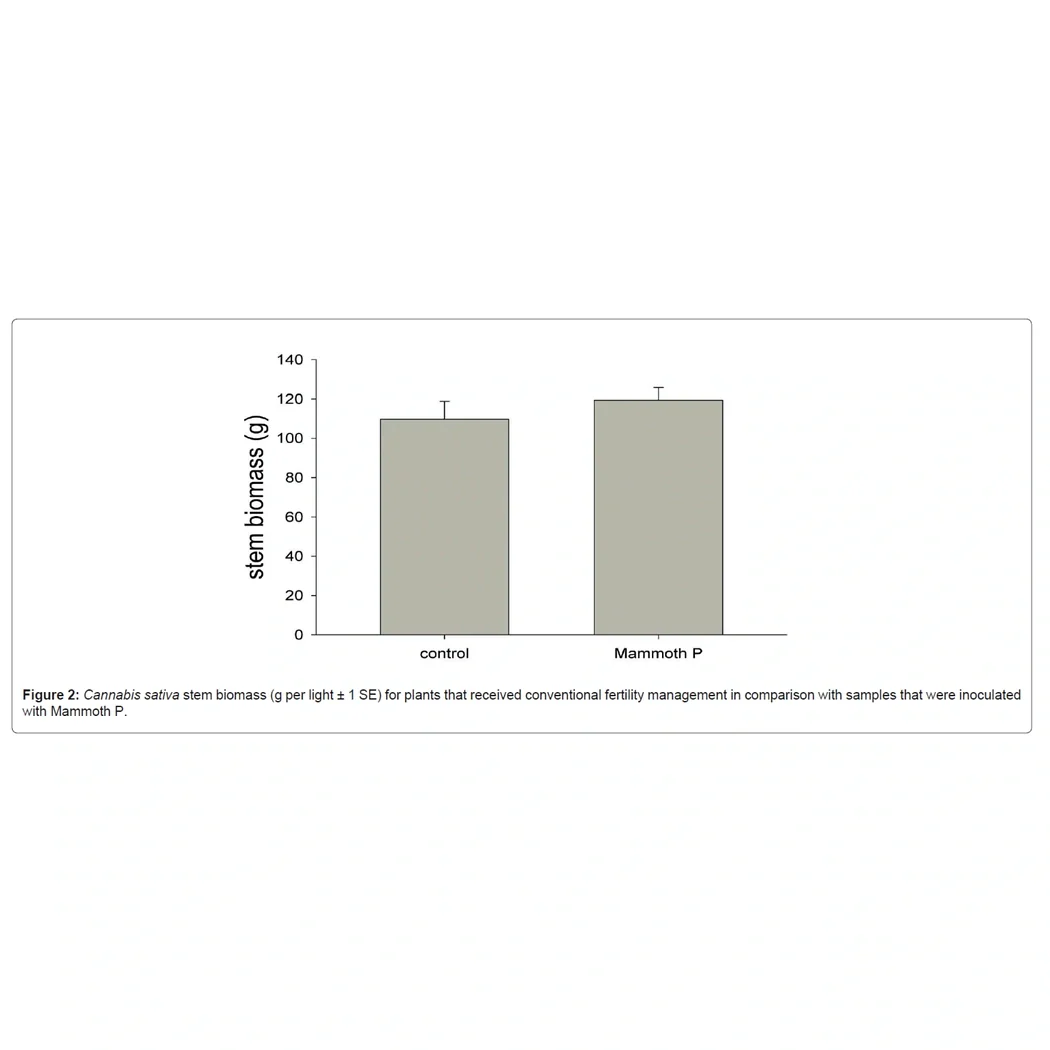 Mammoth P Active Microbials - Image 10