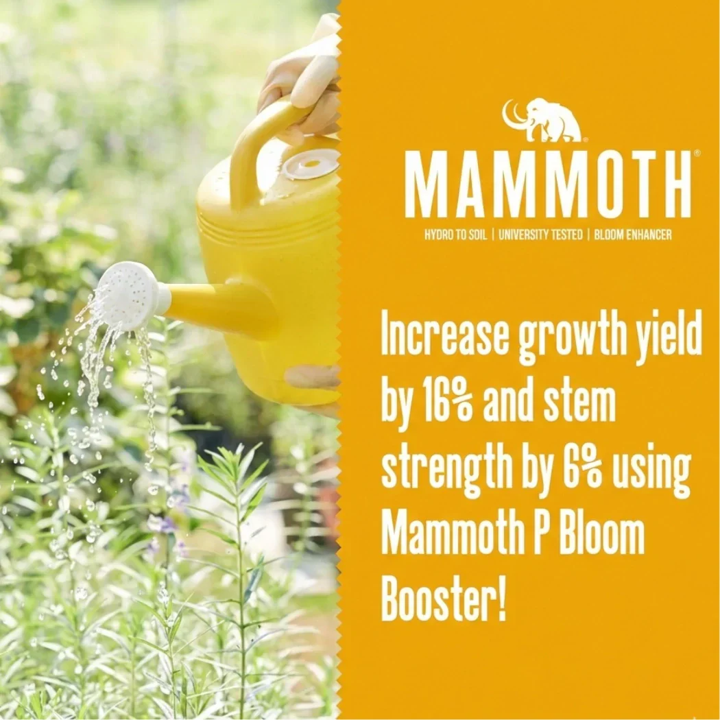 Mammoth P Active Microbials - Image 6