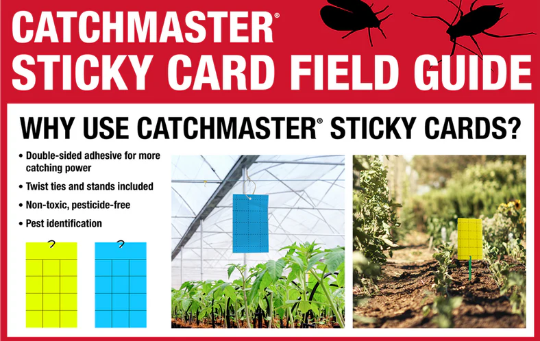 Sticky Cards - Image 4
